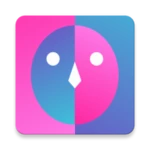 face shape & color analysis android application logo